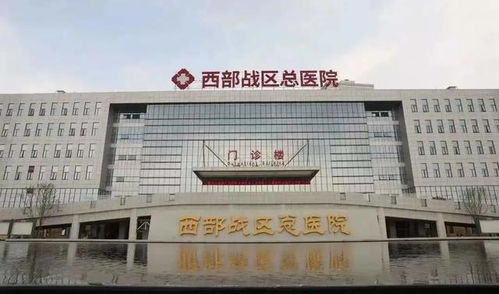 西部战区总医院属成都市限行内吗 (东部战区总医院免费停车场)