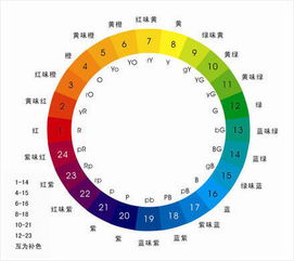 旺仔冷知识 便利贴 我从哪来 为何我这么黄