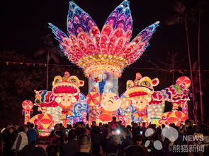 广州 过新年逛灯会 品浓浓年味