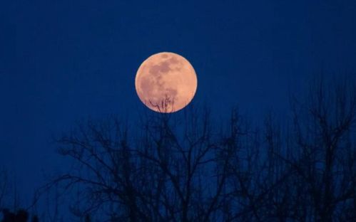 关于月亮的现代诗歌 