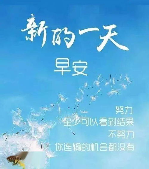 可以失败,可以伤心,也可以流泪,但绝对不能放弃 早安 星期六 