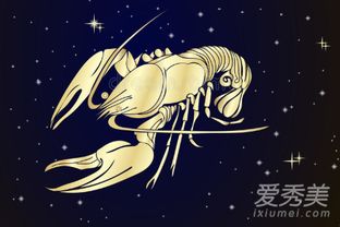 今年事业最辉煌的四大星座 十二星座事业最辉煌排行榜