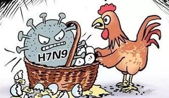 如何预防禽流感
