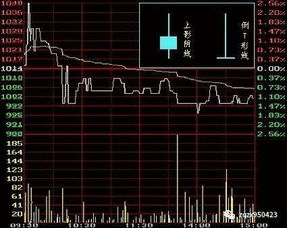 股票技术分析的图型中，什么叫点数图和线型图？