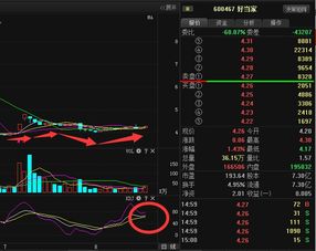 好当家600467这股如何趋势？