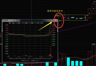 为什么有些股票下午拉升至涨停，第二天却跌很多呢？