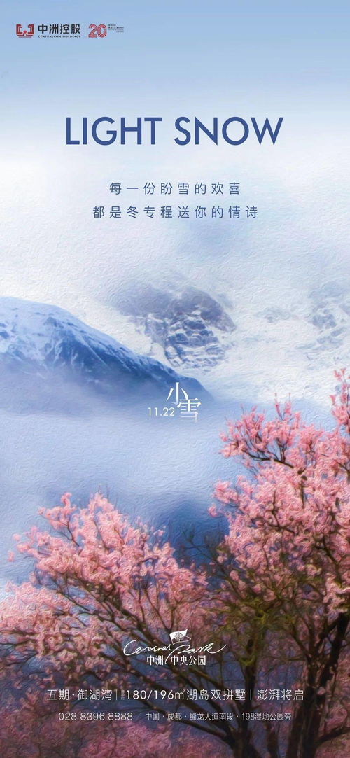 小雪 冬候枝头白 揽却一湖光 