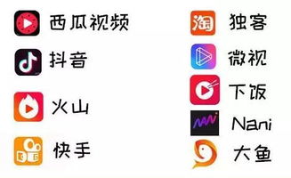 短视频创业平台,这样选择才靠谱,你知道吗