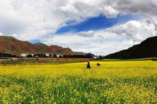 西藏昌都贡觉莫洛镇天气预报