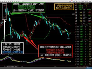 现在京牌指标价格-老品牌车务值得信赖！