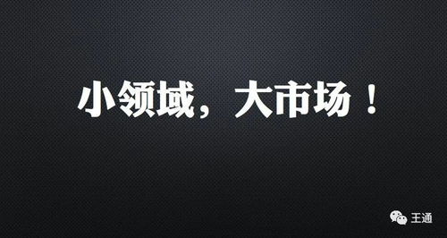 王通 不要小瞧任何一个小领域,取名技能也能快速赚钱