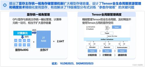 答辩前的查重策略：时间与管理