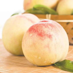 水蜜桃可以放在冰箱里吗,水密桃可以放冰箱保鲜吗?