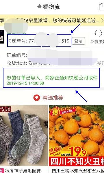 拼多多快递单号怎么看是哪个（拼多多快递单号怎么看是哪个最新） 第1张