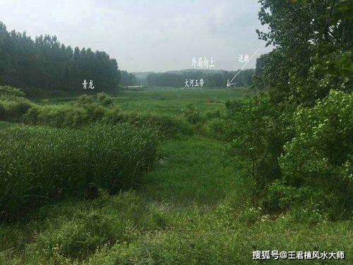 风水大师王君植河南信阳寻龙,实拍仙带脉风水宝地