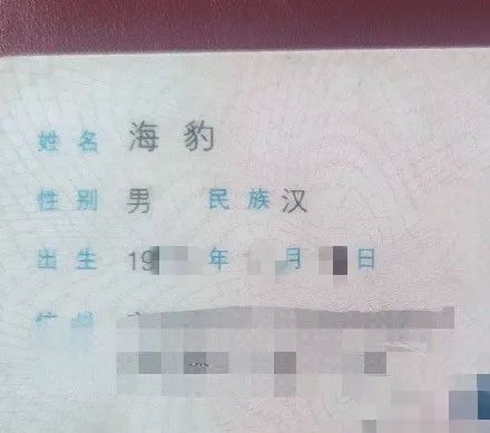 像极了假名字的名字 说出惊艳到你的名字