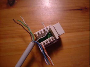 6类网线,接网线插座,该如何接 
