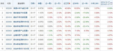 2019年1月17日股票型基金收益排行前十 