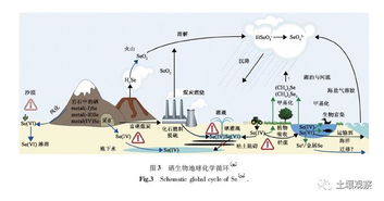 中国土壤硒含量高的地方时哪五个