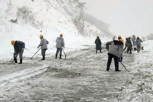 海螺集团下属企业积极抗雪防灾 全力保安全稳生产 