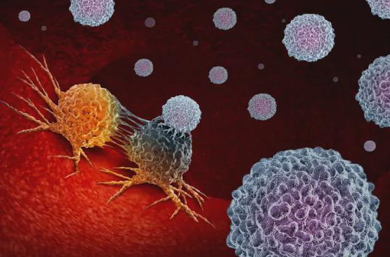 一个癌细胞都没有的 癌前病变 到底是什么 一定会变癌吗