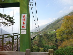 桥,bungee,山水 