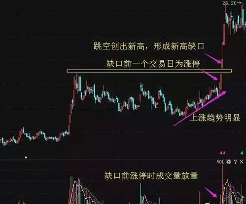 为什么80 的散户炒股都赔钱 因为他们连 换手率大于10 说明了什么都不知道