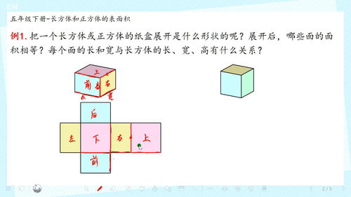 5206知识点微课 长方体和正方体的表面积 