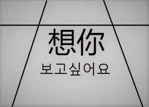 想你,用韩文怎么写,怎么读 