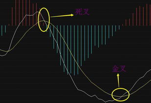 股市牛散爆料 如何活用MACD指标,抓住强势股 