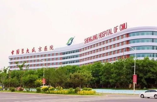 沈阳盛京医院，沈阳盛京医院分几个区每个区都是什么专科