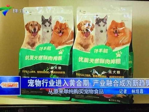 贵宾犬适合吃什么狗粮