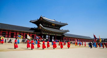 廉价旅游团上海一日游(一日游有哪些套路)