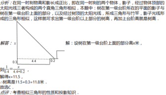 我们如果要测量一个长1 m左右的桌子要选择以什么为单位的测量工具测量的结果