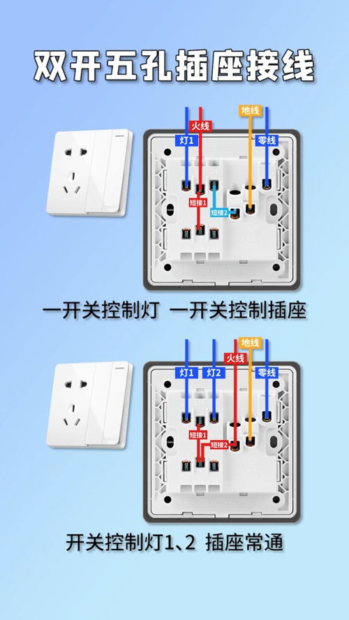 双开六孔面板怎么接线(双开六孔面板接线图)