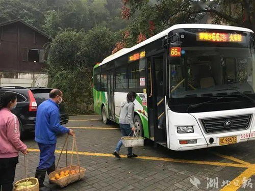 在成都成华区羊子山路到建设路52号附7怎么做公交车