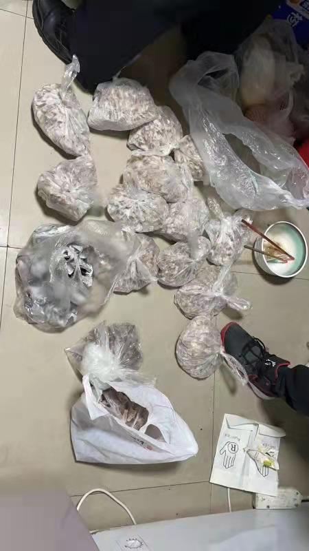 3岁德牧宠物犬成为 盘中餐 ,上海一男子下药盗狗被刑拘 
