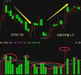 股票的底部逐渐抬高均线多头向上后市意味着上涨吗？