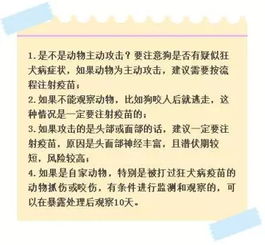 不打针 被宠物抓伤后只 观察