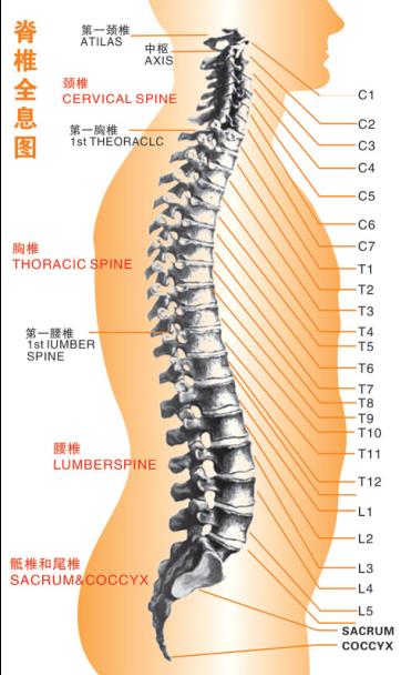 正骨推拿班