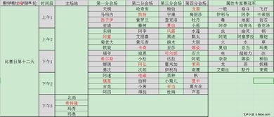 属性专家赛冠军以及馆主赛第一轮乱斗分组 神奇宝贝之波导的圣骑士 