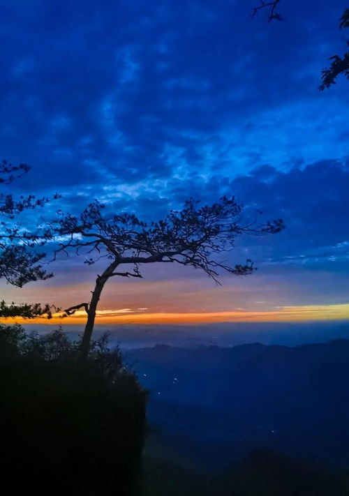 这个夏日,来 太平顶 赴山野之趣 