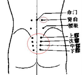 封穴固气秘法