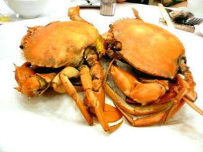 全国最名贵的10种蟹,吃过5种是高手,全都吃过是顶级吃货