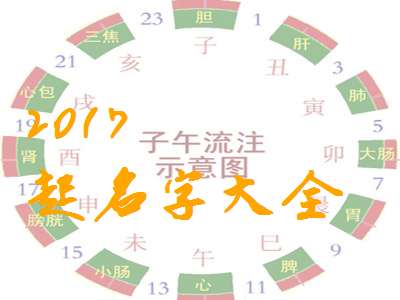 2017鸡年,卜姓宝宝如何起名