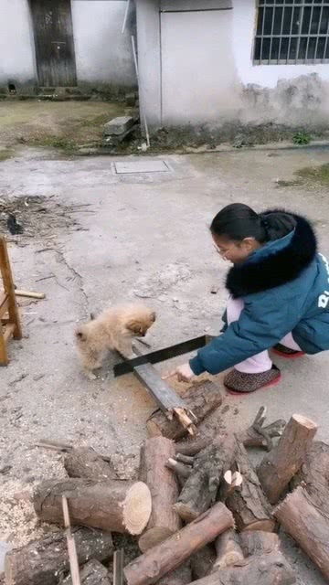 就不怕把你的腿给锯断吗 