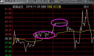 次新股基本上都跌的，为什么还有人买