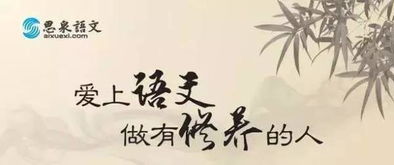 贝思特2017暑期招生行动,强势来袭