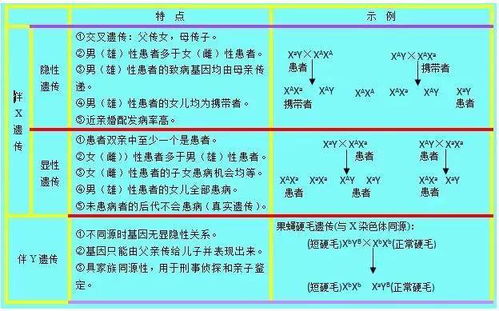 高中生物 学霸笔记知识点大总结