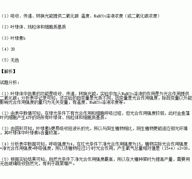 谈谈光质对光合作用的影响